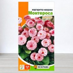 Насіння маргаритки махрової Монтероса рожева, 0,1г, ТМ Яскрава